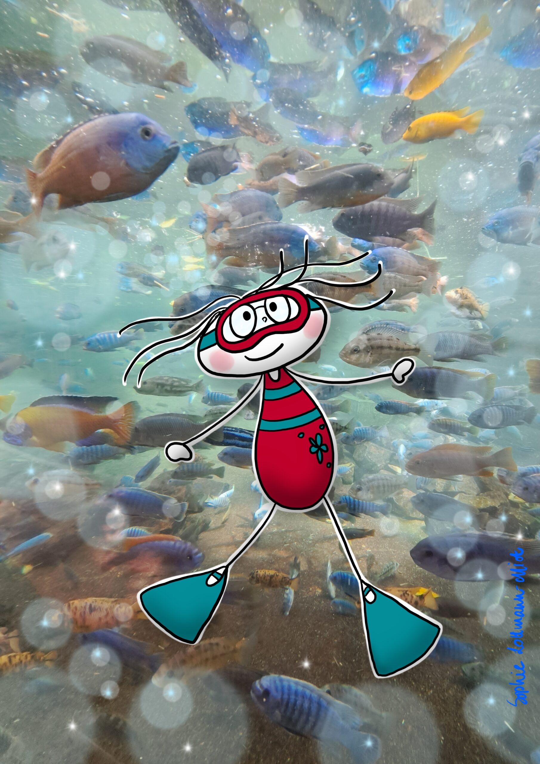 Aquarium Août 2025 Aquarium Août 2025